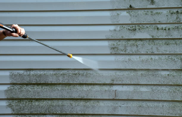 Best Driveway Pressure Washing  in Cedar Lake, IN